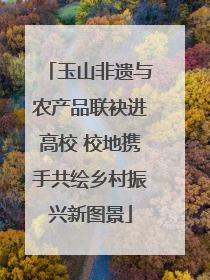 玉山非遗与农产品联袂进高校 校地携手共绘乡村振兴新图景