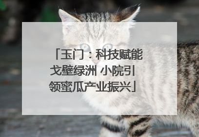 玉门：科技赋能戈壁绿洲 小院引领蜜瓜产业振兴