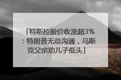 特斯拉股价收涨超3%：特朗普无意沟通，马斯克父亲劝儿子低头