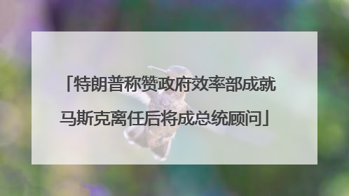特朗普称赞政府效率部成就 马斯克离任后将成总统顾问