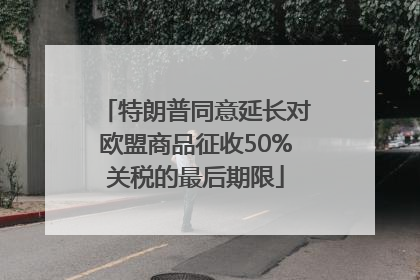 特朗普同意延长对欧盟商品征收50%关税的最后期限
