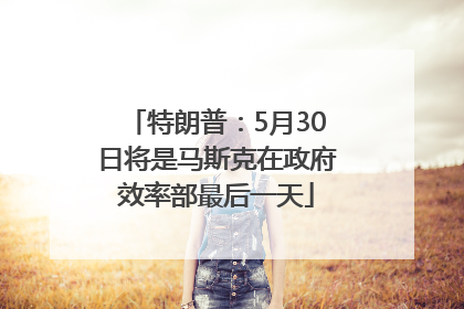 特朗普：5月30日将是马斯克在政府效率部最后一天