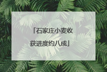 石家庄小麦收获进度约八成