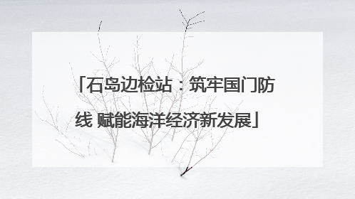 石岛边检站：筑牢国门防线 赋能海洋经济新发展