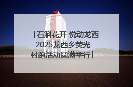 石斛花开 悦动龙西 2025龙西乡荧光村跑活动圆满举行