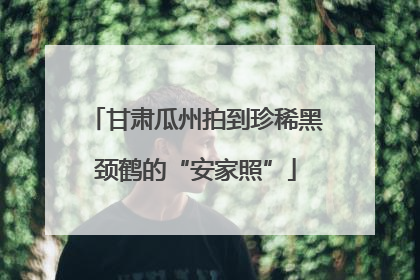 甘肃瓜州拍到珍稀黑颈鹤的“安家照”