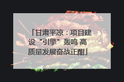 甘肃平凉：项目建设“引擎”轰鸣 高质量发展奋战正酣