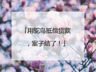 用鸵鸟抵偿货款，案子结了！