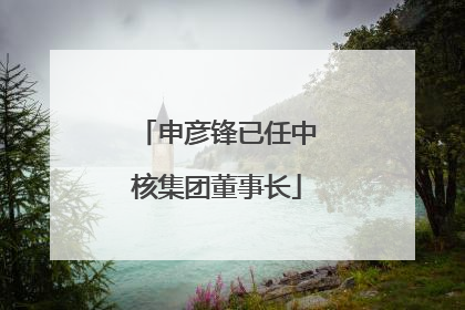 申彦锋已任中核集团董事长