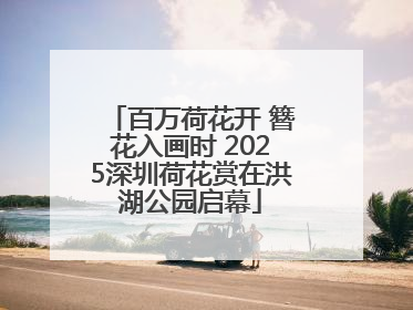 百万荷花开 簪花入画时 2025深圳荷花赏在洪湖公园启幕