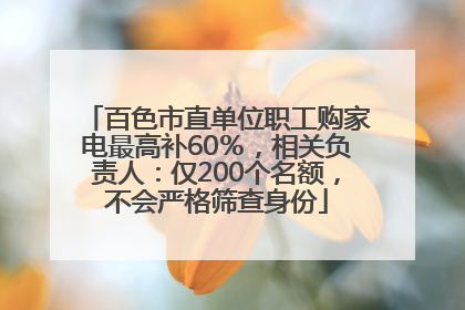百色市直单位职工购家电最高补60％，相关负责人：仅200个名额，不会严格筛查身份