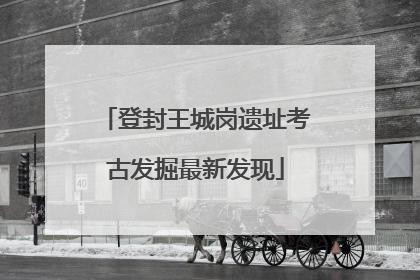 登封王城岗遗址考古发掘最新发现