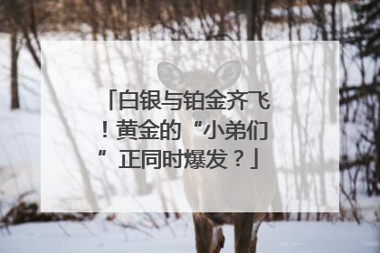 白银与铂金齐飞！黄金的“小弟们”正同时爆发？