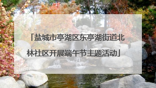 盐城市亭湖区东亭湖街道北林社区开展端午节主题活动
