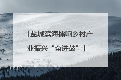 盐城滨海擂响乡村产业振兴“奋进鼓”