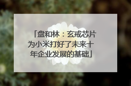 盘和林：玄戒芯片为小米打好了未来十年企业发展的基础