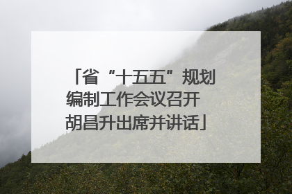 省“十五五”规划编制工作会议召开 胡昌升出席并讲话