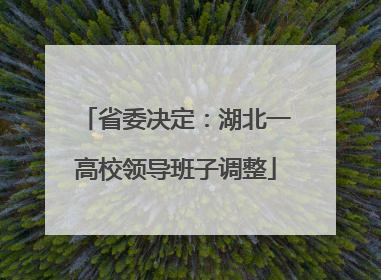 省委决定：湖北一高校领导班子调整