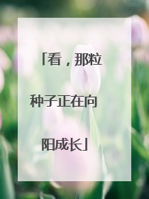 看，那粒种子正在向阳成长