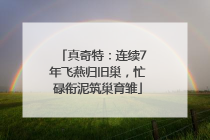 真奇特：连续7年飞燕归旧巢，忙碌衔泥筑巢育雏