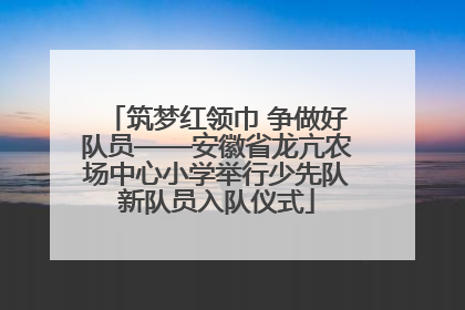 筑梦红领巾 争做好队员——安徽省龙亢农场中心小学举行少先队新队员入队仪式