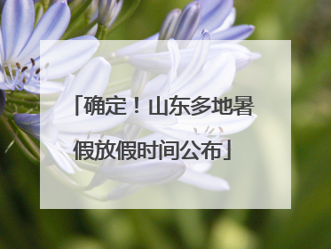 确定！山东多地暑假放假时间公布