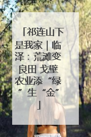 祁连山下是我家｜临泽：荒滩变良田 戈壁农业添“绿”生“金”