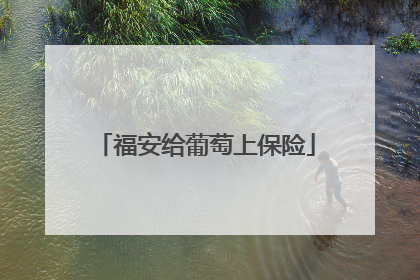 福安给葡萄上保险