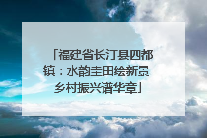 福建省长汀县四都镇：水韵圭田绘新景 乡村振兴谱华章