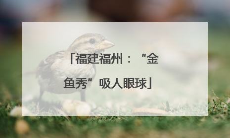 福建福州：“金鱼秀”吸人眼球