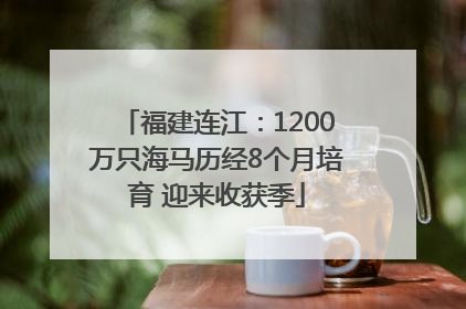 福建连江：1200万只海马历经8个月培育 迎来收获季