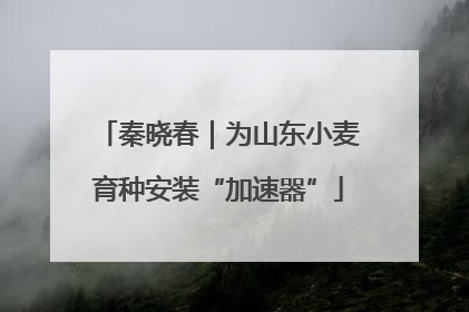 秦晓春｜为山东小麦育种安装“加速器”