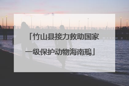竹山县接力救助国家一级保护动物海南鳽