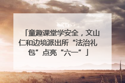 童趣课堂学安全，文山仁和边境派出所“法治礼包”点亮“六一”