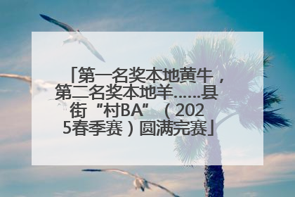 第一名奖本地黄牛，第二名奖本地羊……县街“村BA”（2025春季赛）圆满完赛