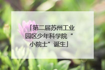第二届苏州工业园区少年科学院“小院士”诞生