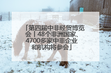第四届中非经贸博览会丨48个非洲国家、4700多家中非企业和机构将参会