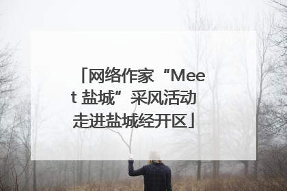 网络作家“Meet 盐城”采风活动走进盐城经开区