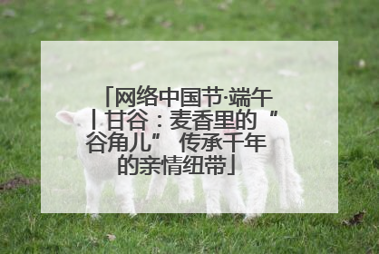 网络中国节·端午丨甘谷：麦香里的“谷角儿” 传承千年的亲情纽带