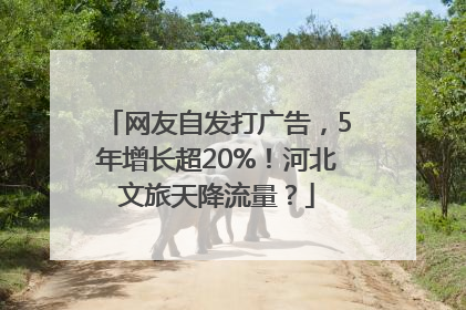 网友自发打广告，5年增长超20%！河北文旅天降流量？