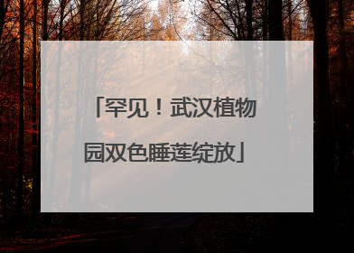 罕见！武汉植物园双色睡莲绽放
