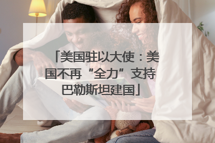 美国驻以大使：美国不再“全力”支持巴勒斯坦建国