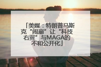美媒：特朗普马斯克“闹崩”让“科技右翼”与MAGA的不和公开化