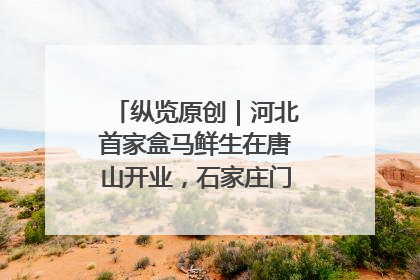 纵览原创｜河北首家盒马鲜生在唐山开业，石家庄门店预计8月开业