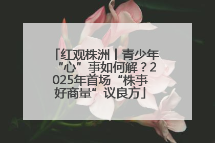 红观株洲丨青少年“心”事如何解？2025年首场“株事好商量”议良方