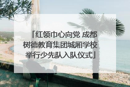红领巾心向党 成都树德教育集团城厢学校举行少先队入队仪式