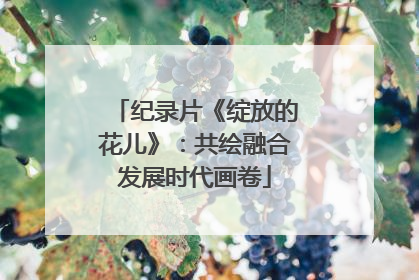 纪录片《绽放的花儿》：共绘融合发展时代画卷
