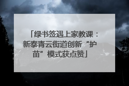 绿书签遇上家教课：新泰青云街道创新“护苗”模式获点赞