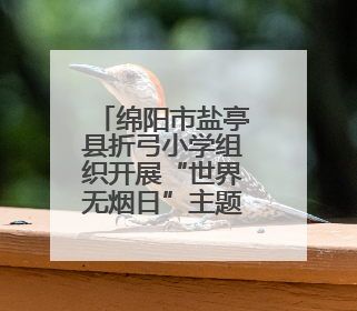 绵阳市盐亭县折弓小学组织开展“世界无烟日”主题教育系列活动