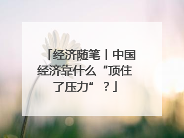 经济随笔丨中国经济靠什么“顶住了压力”？